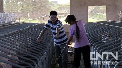 CCTV7¸:ʡ̶཭hS TʿƻؼB(yng)i