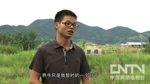 湖北羅田縣賀根