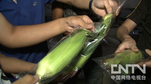 經(jīng)過降溫包裝的水果玉米