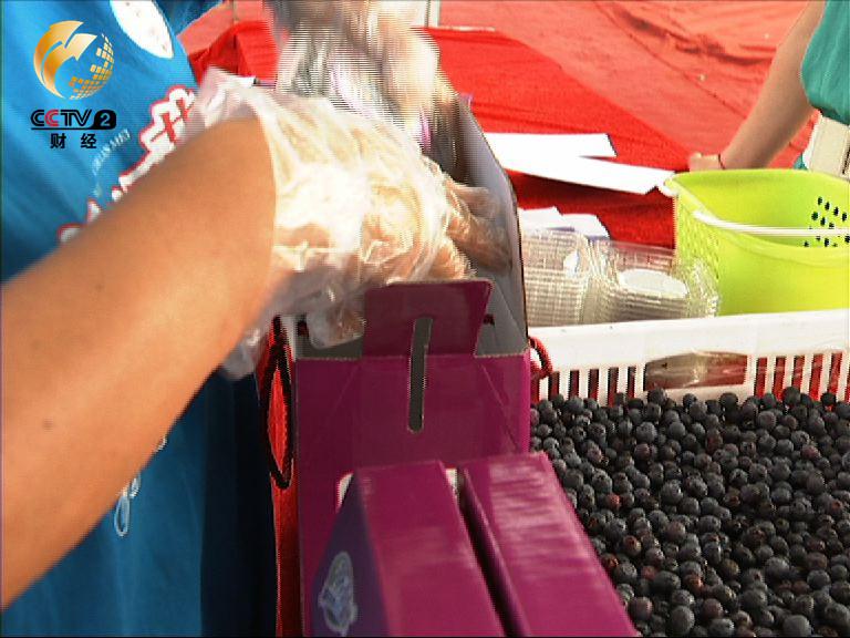 藍(lán)莓王子的莊園